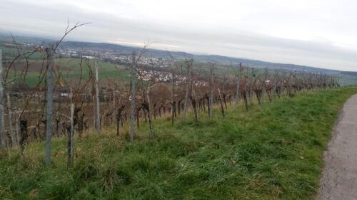 Foto - Grundst&uuml;ck zur Miete in Großbottwar