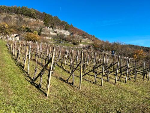 Foto - Grundst&uuml;ck zum Kaufen in Tübingen