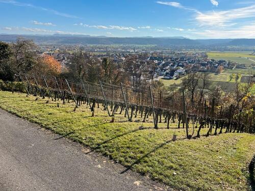 Foto - Grundst&uuml;ck in Tübingen zum Kaufen
