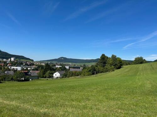 Foto - Einfamilienhaus zum Kaufen in Spaichingen