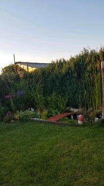 Foto - Grundst&uuml;ck in Wolkenstein