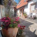 Foto - 6 Zimmer Einfamilienhaus zum Kaufen in Weisenheim am Sand