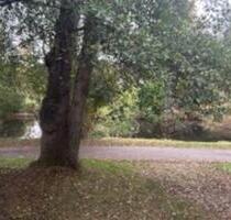 Holzhaus am See - 189.000,00 EUR Kaufpreis, in Tostedt (PLZ: 21255)