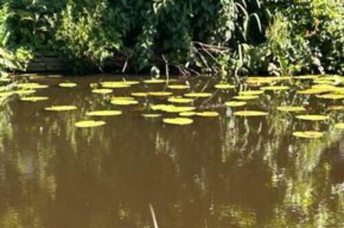 Foto - Einfamilienhaus in Tostedt zum Kaufen