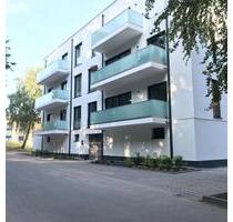 Tolle Stadtwohnung direkt am Lindenpark, großer Balkon - Rostock Hansaviertel