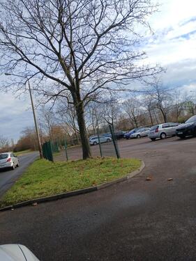 Foto - andere in Halle (Saale)