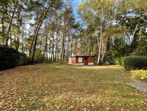 Foto - Wochenendhaus in der Dübener Heide zur Pacht