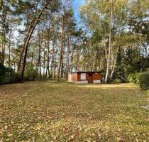 Wochenendhaus in der Dübener Heide zur Pacht - Bad Düben