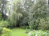 Foto - 4 Zimmer Einfamilienhaus in Flensburg