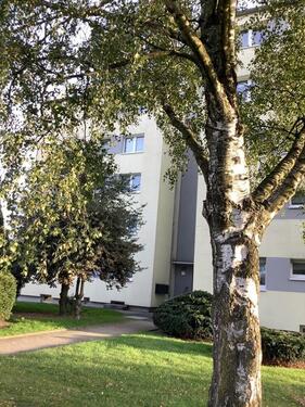 Foto - Renovierte 3 Zimmer mit Balkon in ruhiger, grüner Wohnlage