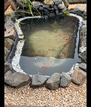 Foto - Grundst&uuml;ck zur Miete in Wurzen