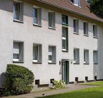 FIx und Fertig ! Laminat und Tapeten inklusive!!!! - Gelsenkirchen Ückendorf