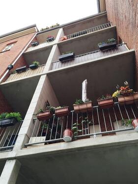 Foto - Etagenwohnung in Erfurt zur Miete