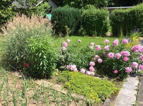 Foto - Grundst&uuml;ck in Plauen