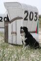Foto - FerienwohnungHooksielNordseeLast Minute 5.-12.7.25