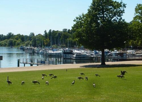 Foto - 3 Zimmer Erdgeschoßwohnung zum Kaufen in Berlin