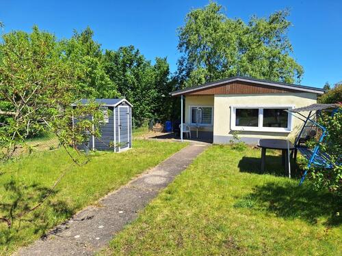 Foto - Frühlingsgefühle garantiert: Garten in Riesa (Sachsen) abzugeben