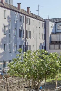 Foto - 2 Zimmer Etagenwohnung in Ludwigshafen am Rhein