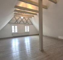 2-Zimmer-Appartement Studio in der Altstadt von Horb - Horb am Neckar