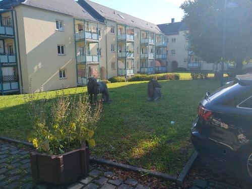 Foto - 4 Zimmer Etagenwohnung in Chemnitz