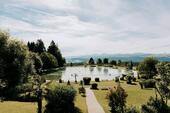 Foto - 