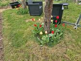 Foto - Grundstück in Freiberg