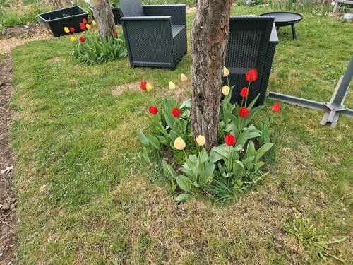 Foto - Grundstück in Freiberg