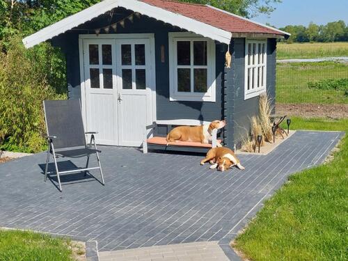 Foto - andere zur Miete in Upgant-Schott