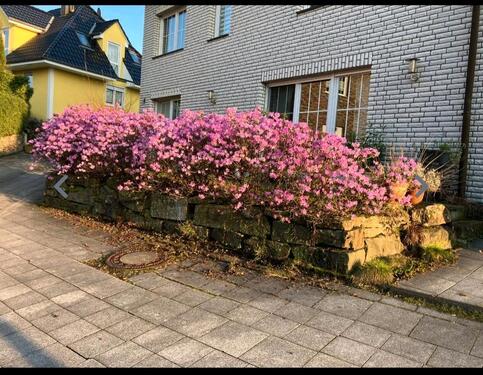 Foto - 2 Zimmer Etagenwohnung in Overath