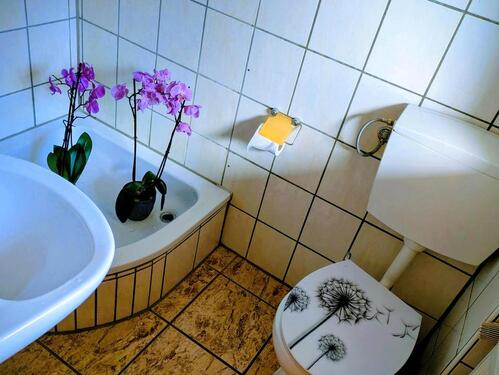 Foto - Erdgeschoßwohnung in Güsten zur Miete