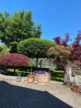 Foto - 7 Zimmer Mehrfamilienhaus, Wohnhaus in Meißenheim