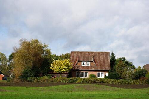 Foto - Urlaub mit Hund, Ostfriesland Nordsee Fewo in Aurich-Tannenhausen
