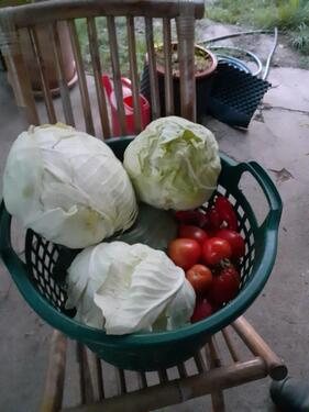 Foto - Gemeinschaftsgarten Garten - 30,00&nbsp;EUR Kaltmiete, ca.&nbsp; 0,00&nbsp;m&sup2;