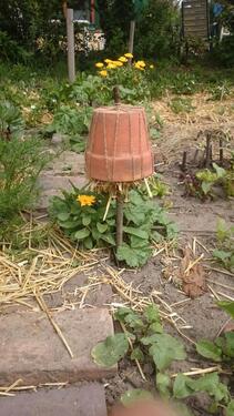 Foto - Grundst&uuml;ck in Dresden