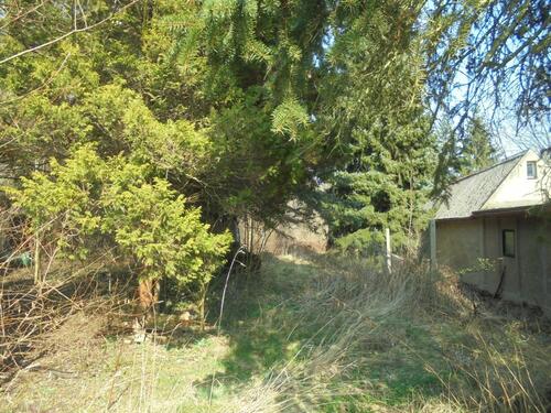 Foto - Einfamilienhaus in Großschönau