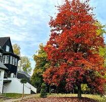 Helle Büroräume Praxis Atelier Hobby Raum zu vermieten - Wedemark