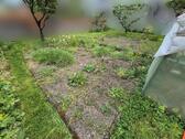 Foto - 7 Zimmer Einfamilienhaus in Saalfeld (Saale)