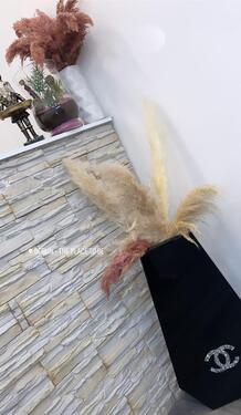 Foto - Kosmetik Studio Untermiete - 700,00 EUR Kaltmiete,