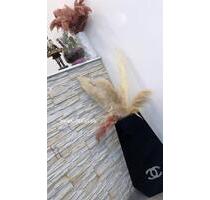 Kosmetik Studio Untermiete - 700,00 EUR Kaltmiete, in Berlin (PLZ: 10553) Mitte