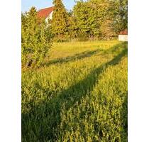 Wiese, Tierfutter, 04463 Großpösna - Leipzig Ost