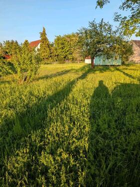 Foto - Grundst&uuml;ck zur Miete in Leipzig