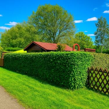 Foto - Einfamilienhaus zum Kaufen in Ratingen