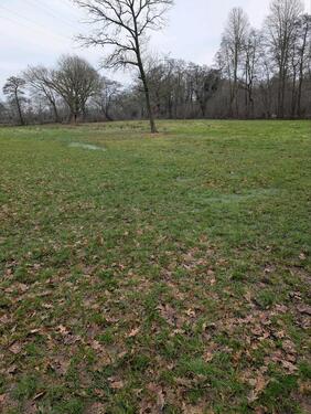 Foto - Grünland, Ausgleichsfläche - 123,00&nbsp;EUR Kaltmiete, ca.&nbsp; 0,00&nbsp;m&sup2;