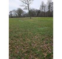 Grünland, Ausgleichsfläche - 123,00 EUR Kaltmiete, ca. 0,00 m² in Schwanewede (PLZ: 28790) Grünland, Ausgleichsfläche - 123,00 EUR Kaltmiete, ca. 0,00 m² in Schwanewede (PLZ: 28790)