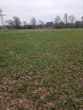 Foto - Grundst&uuml;ck zur Miete in Schwanewede