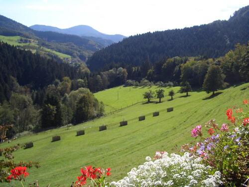 Foto - andere in Oppenau zur Miete