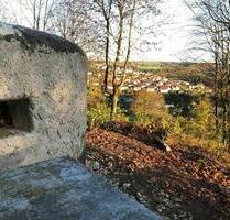 Schöne 2 ZKB an berufstätigen SingleNR (grenznah zu Echternach) - Echternacherbrück