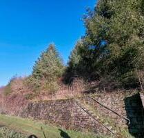 Freizeit Grundstück Ehemaliger Weinberg mit Baumbestand - Irmenach