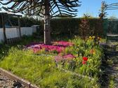 Foto - Ein wunderschöner Garten - 1.900,00&nbsp;EUR Kaltmiete, ca.&nbsp; 0,00&nbsp;m&sup2;