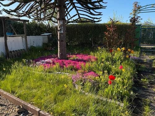 Foto - Ein wunderschöner Garten - 1.900,00&nbsp;EUR Kaltmiete, ca.&nbsp; 0,00&nbsp;m&sup2;